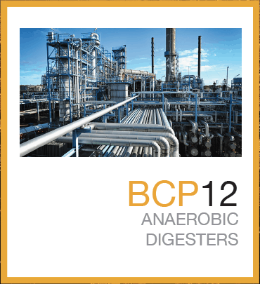 BCP 12 (PDF)