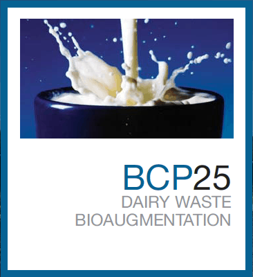 BCP 25 (PDF)