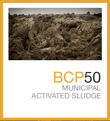 BCP 50 (PDF)